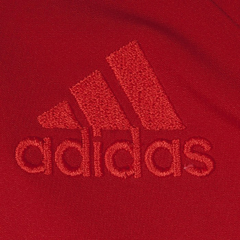 Спортивная куртка Adidas 2013 Z22685 Спортивная куртка Adidas 2013 Z22685